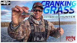 A Better Way to Fish Grass with the Strike King Hybrid Hunter