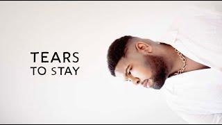 Ray Dalton - Tears to Stay (Official Visualizer)