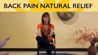 Banishing Back Pain Naturally - Chair Yoga Class for Everyone with Sherry Zak Morris , C-IAYT