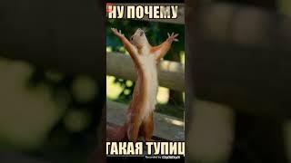 Топ қызықты ФАКТ # 2бөлім