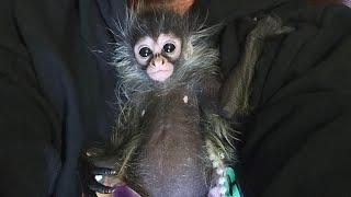 Ep 14 Our Animal EDventure Live! Meet The Newest Member Of Our Fam Book  Now at AnimalEDventures.com