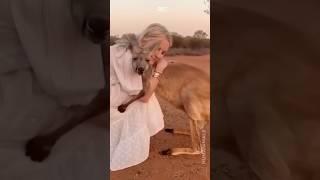 The Touching Bond Between Animals and Humans