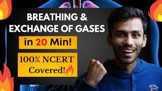 Breathing & Exchange of Gases FAST One SHOT!| Full Revision in 20 Min | Class 11 | NEET