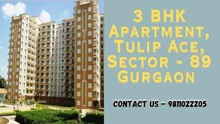 3 BHK Apartment, Tulip Ace, Sector - 89 Gurgaon | 9811022205 #gurgaon #sector89 #apartment r #sale