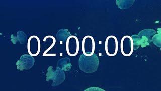 2 Hour Countdown Timer ⏳ | Relaxing Underwater Sounds 