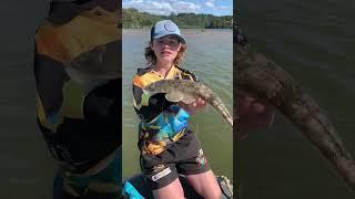 Flatty fishing Australia #flathead #flatheadfishing #fish #fishingaustralia #flatheads #australia