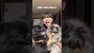 새로운 가족을 소개합니다 #shorts