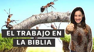 Various facets of WORK | Is work really | Work according to the Bible