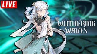  Saatnya build Jinhsi【Wuthering WaiFu】