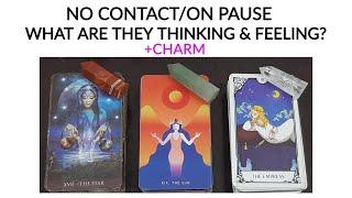 NO CONTACT/PAUSE• WHAT ARE THEY THINKING & FEELING FOR YOU  PICK A CARD TIMELESS