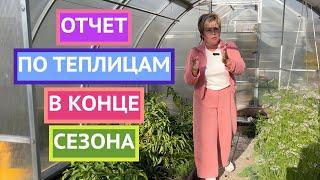 ПОКАЗЫВАЮ КАК МОИ ТЕПЛИЦЫ ПЕРЕЖИЛИ СЕЗОН