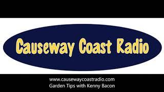 Kenny Bacon with gardening tips 1-7 June 2020