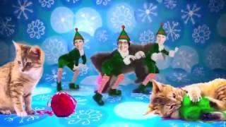 The Catholic Courier Cats