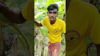 দে"হ ত কি কা*জ টা ক*র"তে"ছে,#tendingvideo #viralvideo #funnypost #funny #kolkata #comedy