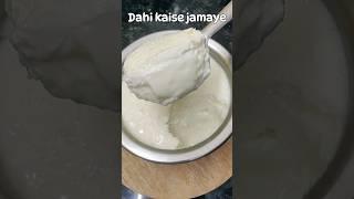 dahi kaise jamaye | how to make thick curd #shorts #curd