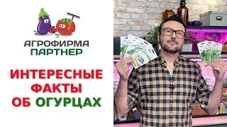 ИНТЕРЕСНЫЕ ФАКТЫ ОБ ОГУРЦАХ