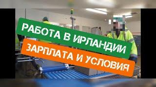 Работа в Ирландии для Укранцев ‍Какая у нас зарплата??!