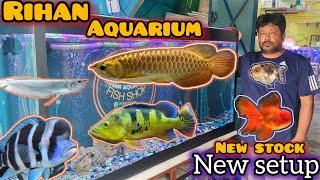 2025 Rihan Aquarium New Setup & Monster Fish Shipment Arowana Frontosa Oscar Thailand Goldfish #fish