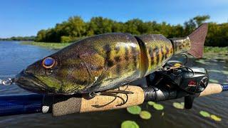 Fishing a Bass Lure for River MONSTERS!