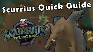 Scurrius Day 1 Quick Guide - OSRS NEW Rat King Boss