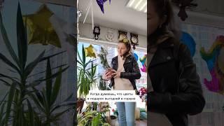 Когда думаешь что цветы в подарок выгодней в горшке  #albinamysh #блогер #цветы