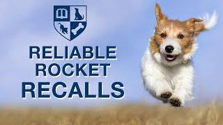 Reliable Rocket Recalls - Live Webinar with Dr. Ian Dunbar and Jamie Dunbar