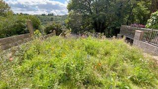 We Grew a Meadow! - Step 3: One more scythe cut, plus lots of rain
