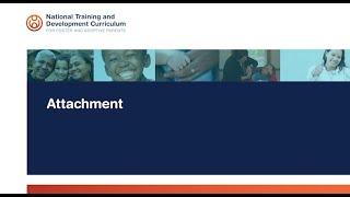 NTDC Classroom: Attachment – Jacob Ham: Ambivalent Attachment (audio description)