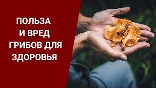 ПОЛЬЗА И ВРЕД ГРИБОВ ДЛЯ ЗДОРОВЬЯ