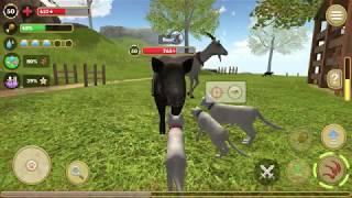 Cat Simulator 2020 #17 (Avelog) | Android Gameplay HD