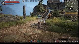 Квест Разбитый ведиант . НИП Ардель. Black Desert