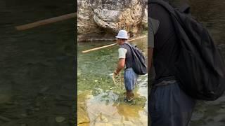 Amazing cast net fishing #fishingtechniques #freshwaterfish