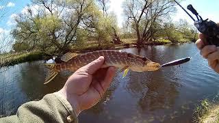 Первая рыбалка на спиннинг Haibo STEEDS BROOK C602L-MF. Battle of FISH. Тест на воде