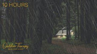 Thunderstorm in the Forest | RAIN & RUMBLING THUNDER SOUNDS | RELAX | STUDY | SLEEP