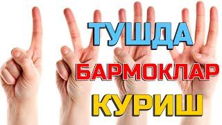 Туш табири - Тушда бармоклар куриш