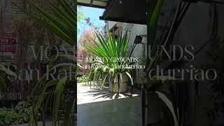 Monkey Grounds Cafe at San Rafael, Iloilo City #iloilocity #coffee #iloilo