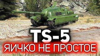 Невероятный бой на TS-5  Сумасшедший рекорд урона