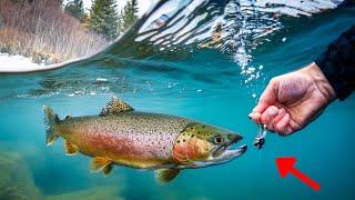 I hand fed a lure to a steelhead underwater