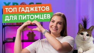 Как продлить жизнь своей кошке и другие новости “Хвост Ньюс” #121