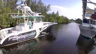 Cannons Marina,Captain Nikki Tax Deductible Charters,Benefit Veterans, Book Today, Call 305.204.8387