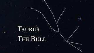 How to find Taurus (the Bull)