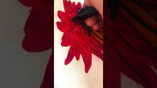 Motyl ️