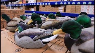 Mallard Decoy Comparison