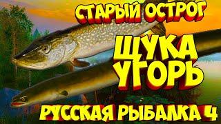 русская рыбалка 4 - Щука Угорь озеро Старый Острог - рр4 фарм Алексей Майоров russian fishing 4