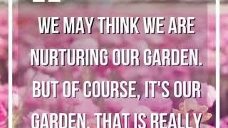 Mid Summer Garden-Inspiring Garden Korner