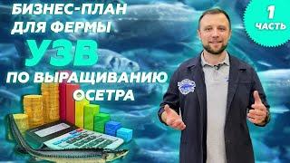 Бизнес план для УЗВ на ОСЕТРА | Осетровая ФЕРМА УЗВ как БИЗНЕС Часть 1 | Идеи для бизнеса