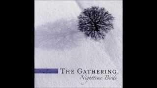 The Gathering - Kevin's Telescope