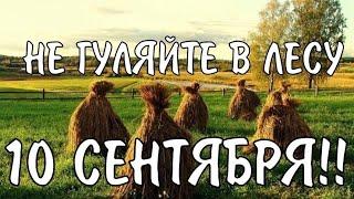 День Анны и Саввы Скирдников: Что можно и нельзя делать 10 сентября/ Народные традиции.