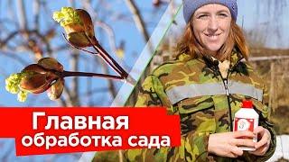 ПЕРВАЯ И ГЛАВНАЯ ОБРАБОТКА САДА ВЕСНОЙ! Мощный удар по вредителям и болезням деревьев и кустарников