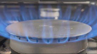 Pushing back on banning gas stoves in New York